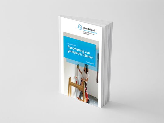 Renovierung von gemieteten Räumen 1. Auflage 2024 von Autor: RA Dr. Hans-Reinold Horst_plastische Sicht