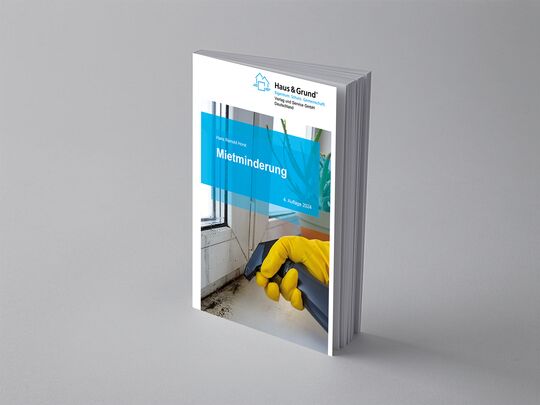 Mietminderung 4. Auflage 2024 vom Autor Dr. Hans Reinold Horst  