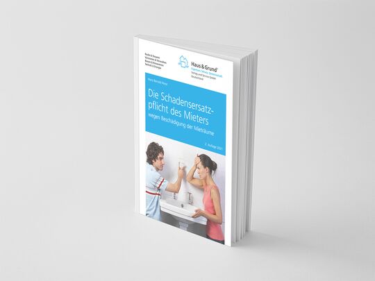 Schadensersatz für Beschädigung 2. Auflage 2021 von RA Dr. Hans Reinold Horst